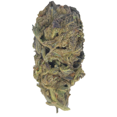 BC (AAA) TORA BORA