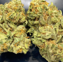  Dosi Sherbet [ 2oz for $140 ]