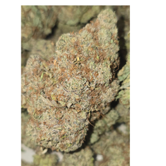 ICE CREAM CAKE 85OZ 2FOR160 4FOR300 8FOR580