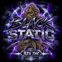 BLACK STATIC🔥🔥🔥🔥🔥 