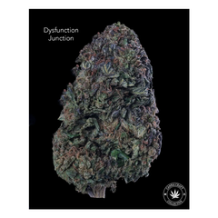 AA+ - DYSFUNCTION JUNCTION