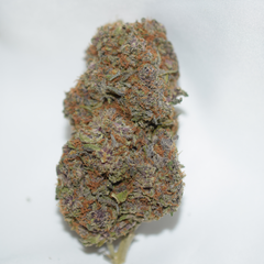 Durban Poison Pure Sativa AAA+