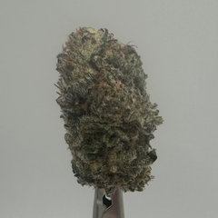 AAA Platinum Blackberry