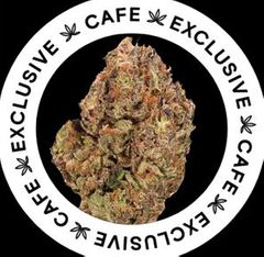 7G CAFE EXCLUSIVES- PINK ICE CREAM