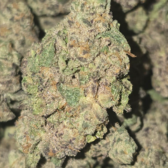 FRUMPZ 100OZ 2FOR180 4FOR340