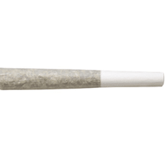 0.5g Bubble Hash & Live Rosin Infused House Roulette Pre Roll Joint - Limited Edition