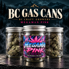  [AAAA+] BC GAS CAN - Megaman Pink⛽️ - 14G