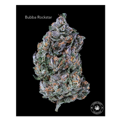 AAA++ - BUBBA ROCKSTAR