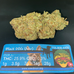 ***NEW $55/Oz*** BLACK DOG 25.9% THC 0.3% CBD