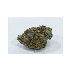 BLACK GAS 95oz 