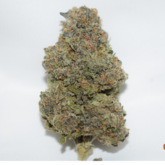 Acapulco Gold Sativa Dominant Hybrid AAA+