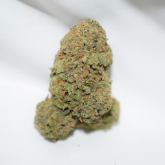 Blue Dream Hybrid AAA