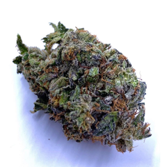 AAAA+ $130 H/o 🔥🤩