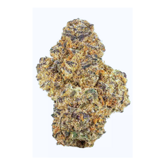 (INDICA) King Louis