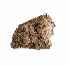 Pink Cartel - High Five