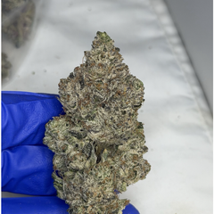!$135/oz Pink Snowcone