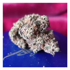 *NEW* Blueberry Kush (7g-$50/14g-$70/28g-$130) (27% THC)