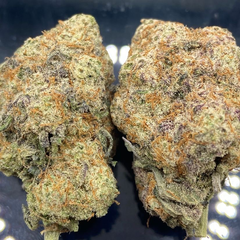 *NEW* Godfather Bomb