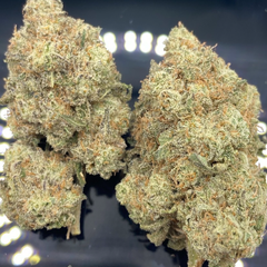 * NEW *  Fat Gushers 3A