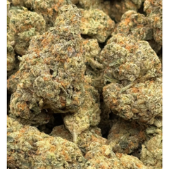 *GOLD* Greasy Pink - Indica - 31% THC