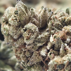 (NEW) O.G 🔥 ($50/oz Two for $85) 🔥  