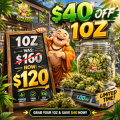 *** NOW 120 ONLY--SAVE 40 ****