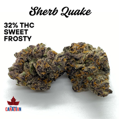 ( QUAD EXO ) $120 SHERB QUAKE | 2 OZ $180