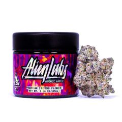 Atomic Apple - Indoor