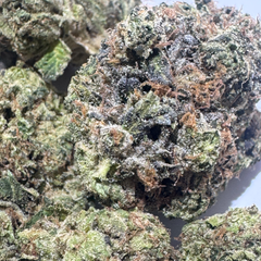 (NEW) Night Terror OG