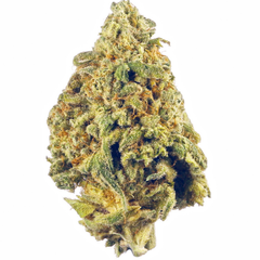 $200 FOR QP - Jungle OG Apples 