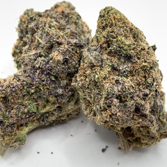 *RESTOCK* Pink Rockstar 4A