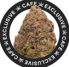 7G CAFE EXCLUSIVES- STINKY PINK