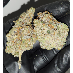 Greasy Pink 6A😮‍💨 **$90 h/o**