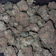 🌫️🌿 Platinum Amnesia AAA+ 💎 - | 2oz’s FOR $170 | SATIVA |