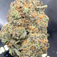  Skelly Hash Plant High Grade [ bogo Buy 1 oz and get 1/4 for free ]