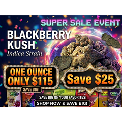 Blackberry Kush (Premium-Grade)