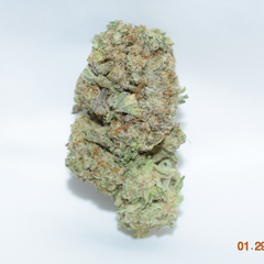 Blueberry Cookies Indica Dominant Hybrid AAA 