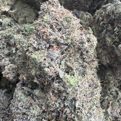 TOM FORD AAAA  $140 2for260 4for500