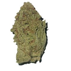 8 Dutch Kush