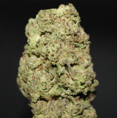 AAA | OREGON DIESEL BY GREEN DISTRICT - 14G