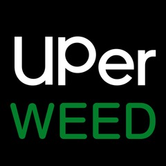 Uberr Weed CA 