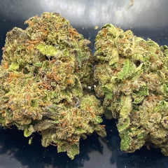 *NEW* Gastro Pop // 2oz for $130 - 4oz for $210
