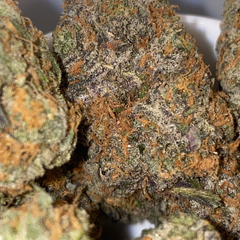 Orange Gelato(2 ozs for 180)