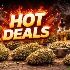🔥 Hot Deals – 20% OFF