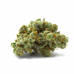 GMO Cookies AA+++