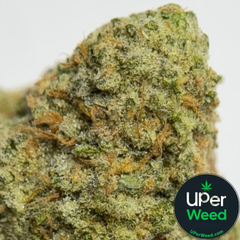 (28G) - Pie hoe 🥧🤠 Indica  - 2Oz Bulk Deal for $230