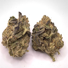 *NEW* Purple Queen 3A 