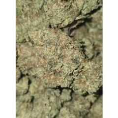 PEANUT BUTTER ROCKSTAR 85OZ  2FOR$160 4FOR300