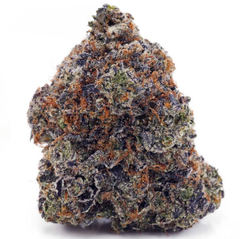 Rockstar Purple - High Quality BC Bricks 