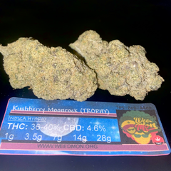 ***NEW EXOTIC*** Kushberry Moonrock (TROPHY) 36-40% THC 4.6% CBD